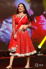 Rogue Movie Audio Launch